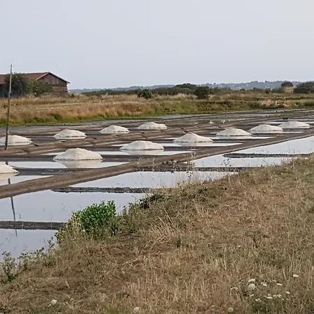 Evasion Entre Et Marais Batz-sur-Mer